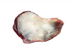 Cheek Meat