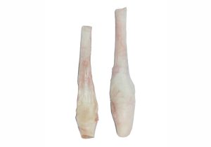Knee Tendon