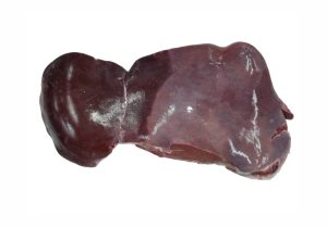 Liver