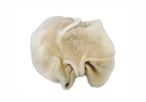 Tripe